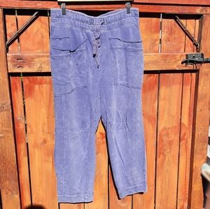 Daily Practice Anthropologie wide leg blue  crop leg sweat pants size large